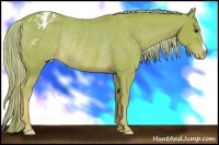 Horse Color:Watercolor Chestnut Blanket Rabicano 