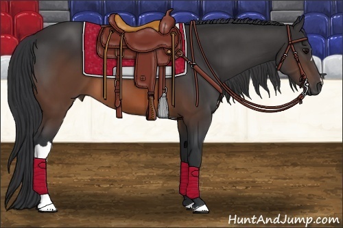 Horse Color: Brown 
