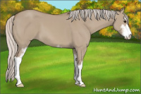 Horse Color:Silver Grullo Sabino 