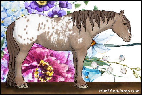 Horse Color: Classic Champagne Blanket 