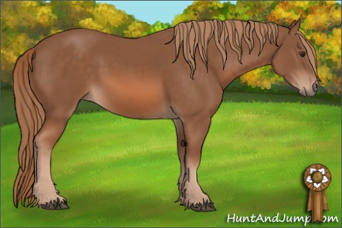 Horse Color: Chestnut 