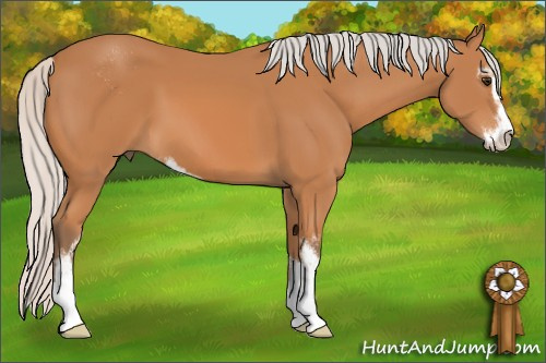 Horse Color: Silver Bay Sabino 