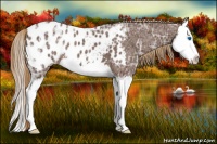 Horse Color:Liver Chestnut Ice Splash Blanket 