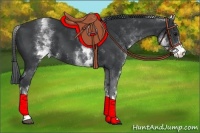 Horse Color:White Spotted Black 