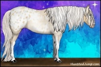 Horse Color:Gray Silver Amber Cream Champagne Roan Dun Splash Tobiano Frame Blanket Rabicano 