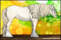 Horse Color:Buckskin Pearl Blanket 