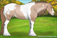 Horse Color:Bay Pearl Mushroom Sabino Tobiano Blanket Rabicano 