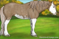 Horse Color:Chocolate Palomino Roan Sabino Splash 