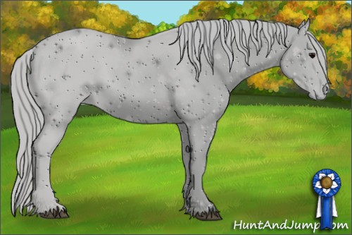 Horse Color: ERROR: UNKNOWN ANOMALY