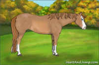 Horse Color:Chestnut Sabino Splash 