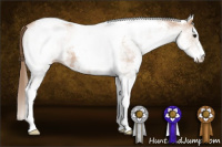 Horse Color:White Spotted Black Pearl Tobiano 