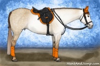 Horse Color:Gray Red Dun