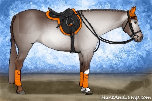 Horse Color:Gray Chestnut 