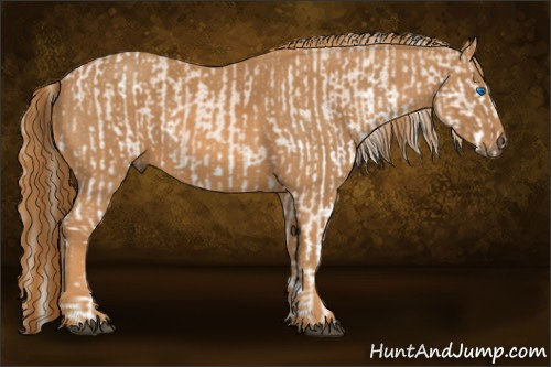 Horse Color: Liver Chestnut Pearl Mushroom Splash Blanket  Brindle