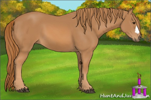 Horse Color: Chestnut 