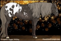 Horse Color:Liver Chestnut Appaloosa