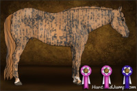 Horse Color:Black  Brindle