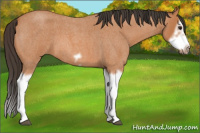 Horse Color:Bay Roan Splash Frame 