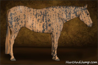 Horse Color:Black  Brindle