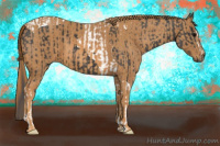 Horse Color:Black Sabino Tobiano Brindle