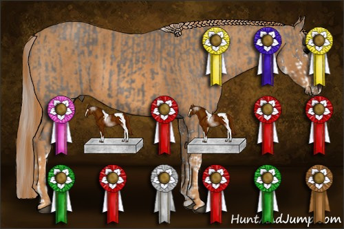 Horse Color: Silver Black Sabino  Brindle