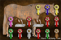 Horse Color:Silver Black Sabino  Brindle