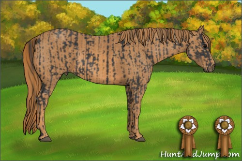 Horse Color: Black  Brindle