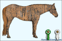Horse Color:Blue Roan  Brindle