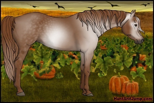 Horse Color:Gray Chestnut 