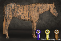 Horse Color:Black  Brindle