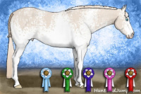 Horse Color:White Spotted Smoky Creme  Brindle and White Spotted Smoky Creme  Brindle and White Spotted Smoky Creme  Brindle