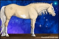 Horse Color:Silver Classic Cream Champagne Dun Splash Frame