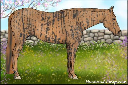 Horse Color: Black  Brindle