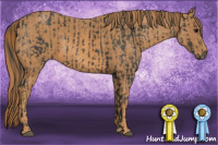 Horse Color:Black  Brindle