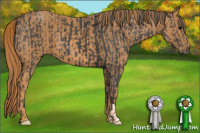 Horse Color:Black  Brindle