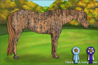Horse Color:Black  Brindle