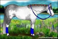 Horse Color:Gray Black Splash Frame  Brindle