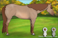 Horse Color:Red Dun Roan 