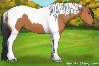 Horse Color:Bay Tobiano 