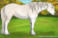 Horse Color:Perlino Sabino  Brindle