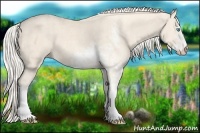 Horse Color:Cremello Sabino  Brindle