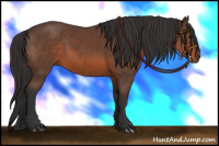 Horse Color:Brown Sabino 