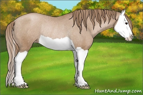 Horse Color:Black Pearl Splash Varnish Rabicano 