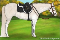 Horse Color:Smoky Creme Sabino  Brindle