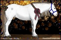 Horse Color:White Spotted Smoky Grullo Blanket