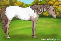 Horse Color:Classic Champagne Snowcap 