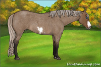 Horse Color:Gray Silver Bay Roan Dun Frame