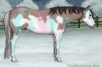 Horse Color:Bay Roan Splash Frame