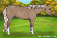 Horse Color:Silver Grullo 