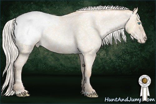 Horse Color: Silver Smoky Grullo Roan Pearl Snowcap Rabicano 